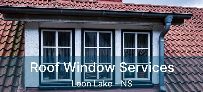  Roof Window Services Loon Lake - NS