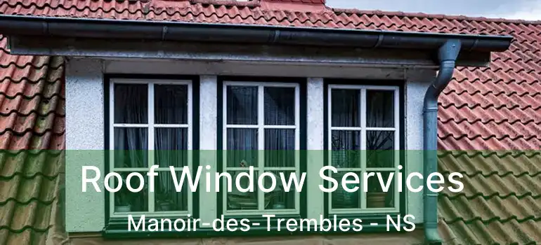  Roof Window Services Manoir-des-Trembles - NS