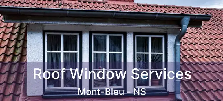  Roof Window Services Mont-Bleu - NS