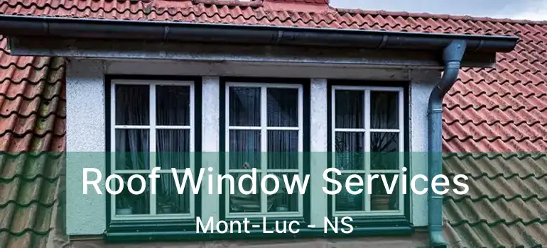  Roof Window Services Mont-Luc - NS