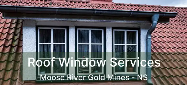  Roof Window Services Moose River Gold Mines - NS