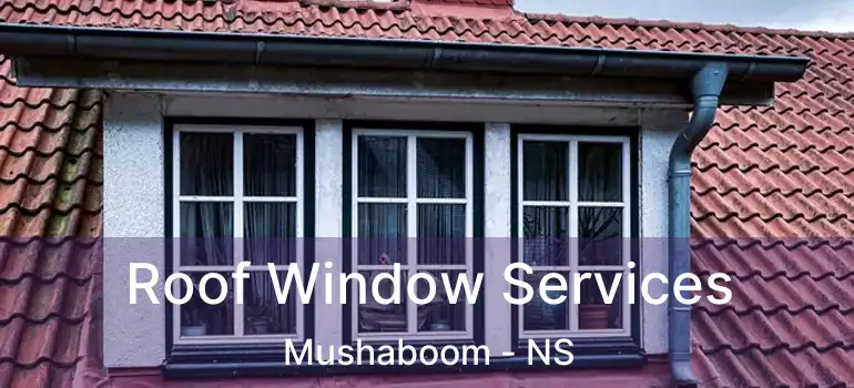  Roof Window Services Mushaboom - NS