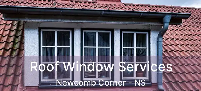  Roof Window Services Newcomb Corner - NS