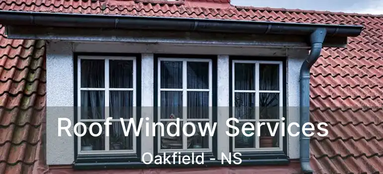  Roof Window Services Oakfield - NS