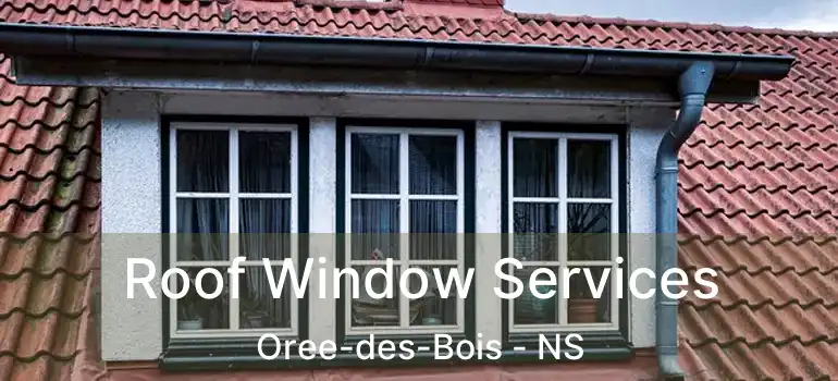  Roof Window Services Oree-des-Bois - NS