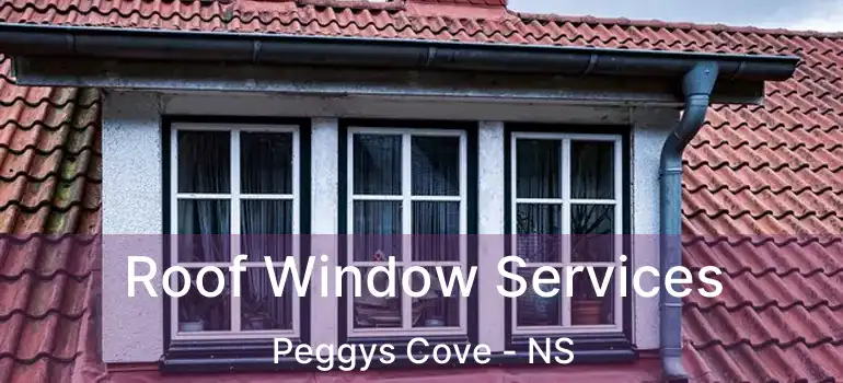  Roof Window Services Peggys Cove - NS