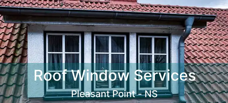  Roof Window Services Pleasant Point - NS