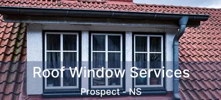  Roof Window Services Prospect - NS