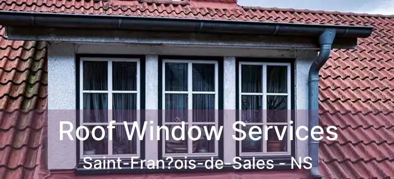  Roof Window Services Saint-Fran?ois-de-Sales - NS