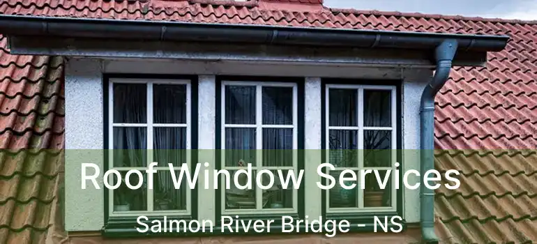  Roof Window Services Salmon River Bridge - NS