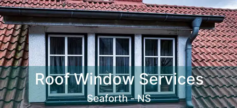  Roof Window Services Seaforth - NS