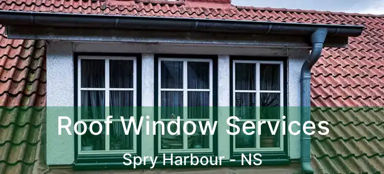  Roof Window Services Spry Harbour - NS