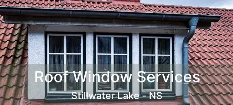  Roof Window Services Stillwater Lake - NS