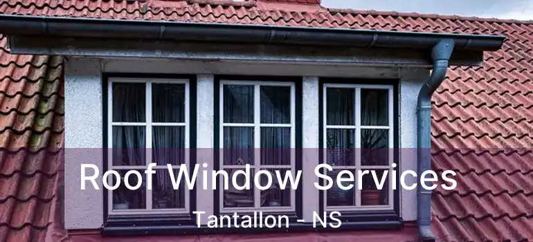  Roof Window Services Tantallon - NS