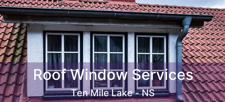  Roof Window Services Ten Mile Lake - NS