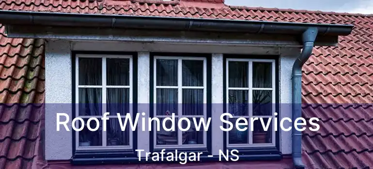  Roof Window Services Trafalgar - NS