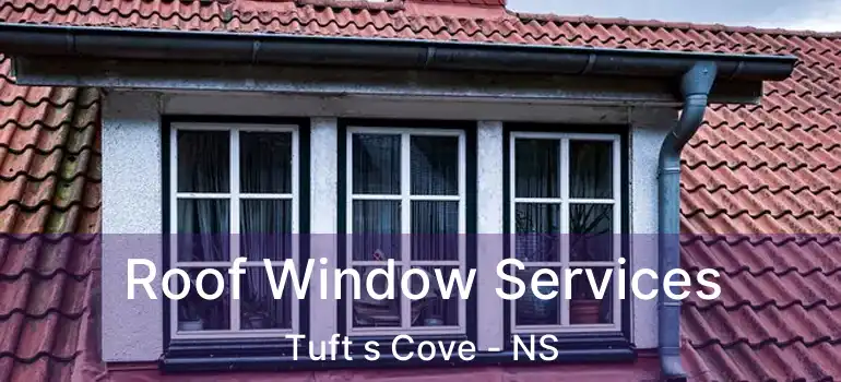  Roof Window Services Tuft s Cove - NS