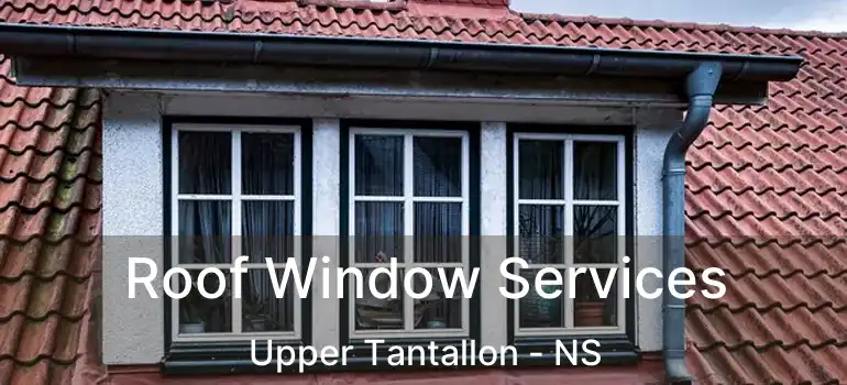  Roof Window Services Upper Tantallon - NS