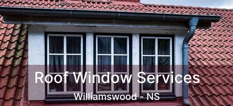  Roof Window Services Williamswood - NS