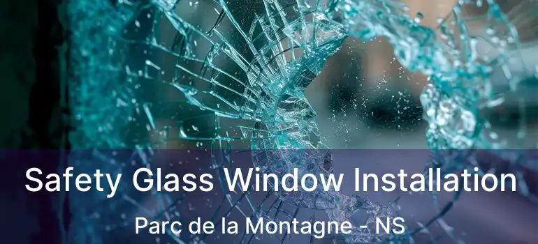  Safety Glass Window Installation Parc de la Montagne - NS