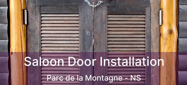  Saloon Door Installation Parc de la Montagne - NS