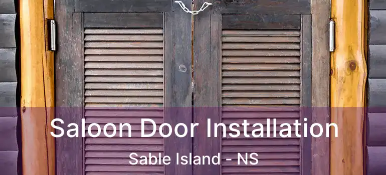  Saloon Door Installation Sable Island - NS