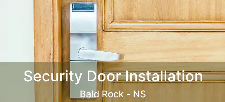  Security Door Installation Bald Rock - NS