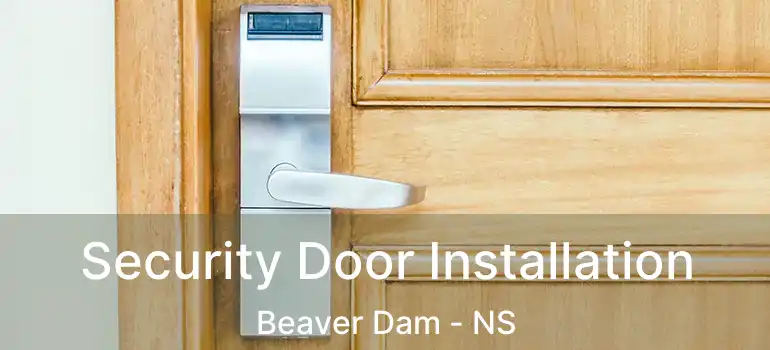  Security Door Installation Beaver Dam - NS