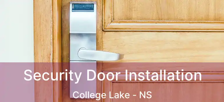  Security Door Installation College Lake - NS