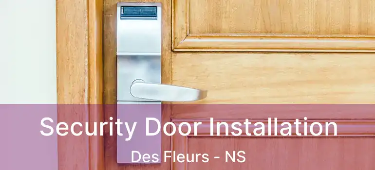  Security Door Installation Des Fleurs - NS