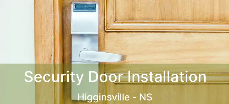  Security Door Installation Higginsville - NS