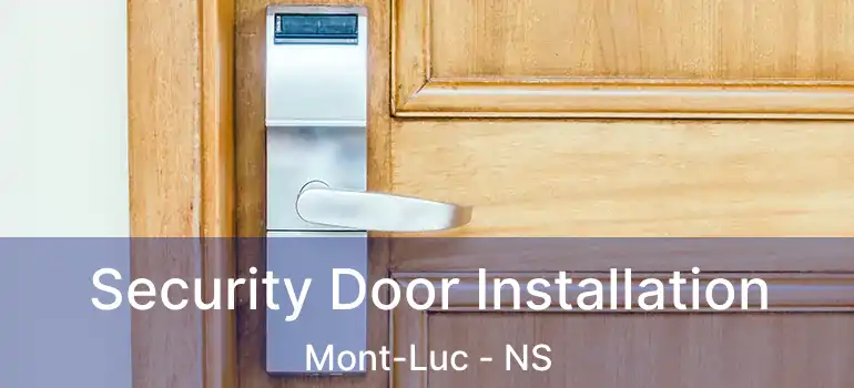  Security Door Installation Mont-Luc - NS