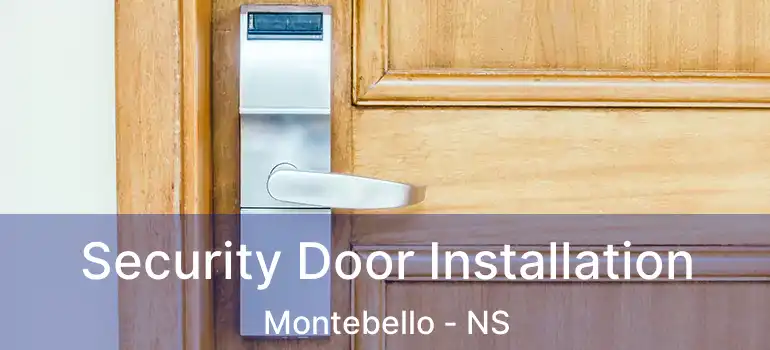  Security Door Installation Montebello - NS