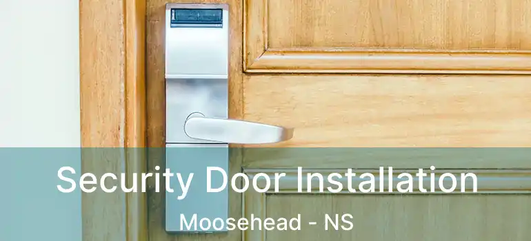  Security Door Installation Moosehead - NS