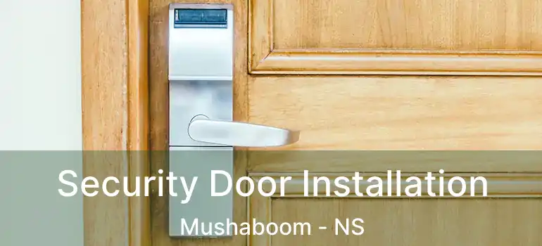  Security Door Installation Mushaboom - NS