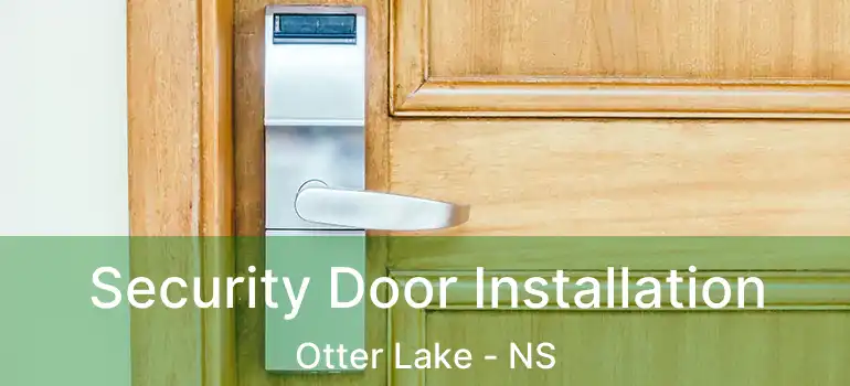  Security Door Installation Otter Lake - NS