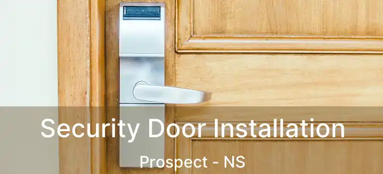  Security Door Installation Prospect - NS