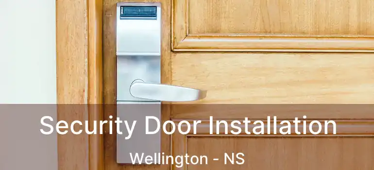  Security Door Installation Wellington - NS