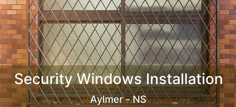  Security Windows Installation Aylmer - NS