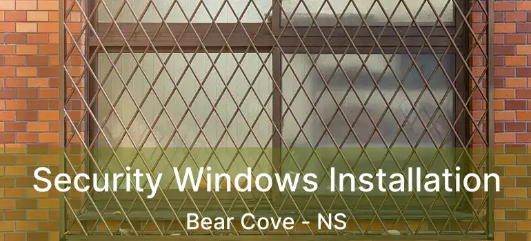  Security Windows Installation Bear Cove - NS