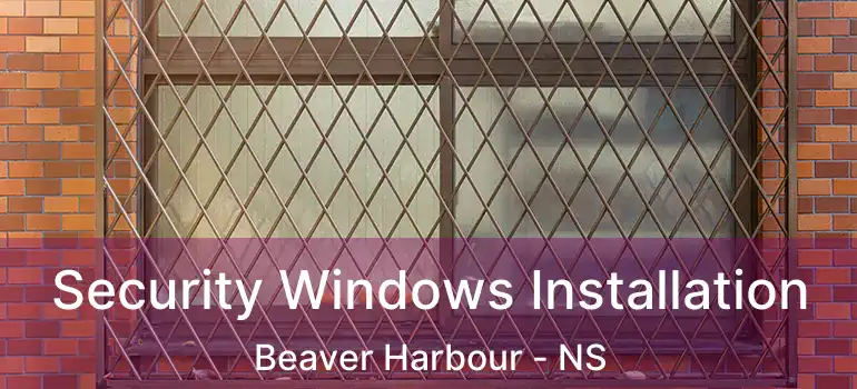  Security Windows Installation Beaver Harbour - NS