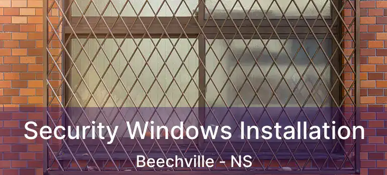  Security Windows Installation Beechville - NS