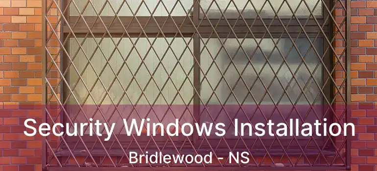  Security Windows Installation Bridlewood - NS