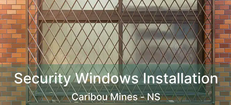  Security Windows Installation Caribou Mines - NS