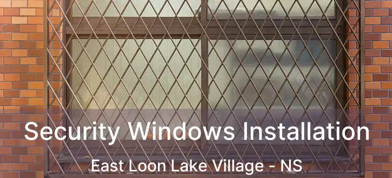  Security Windows Installation East Loon Lake Village - NS