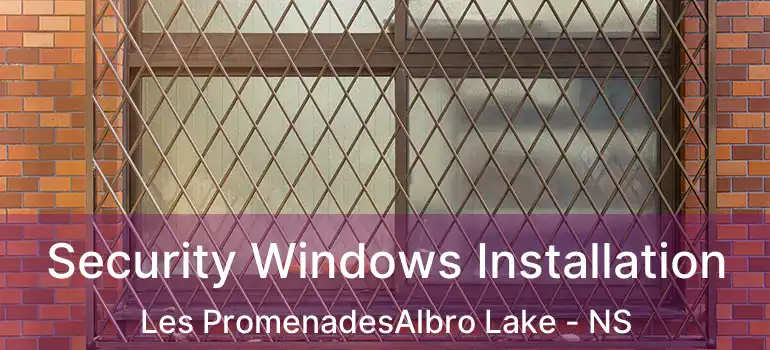  Security Windows Installation Les PromenadesAlbro Lake - NS