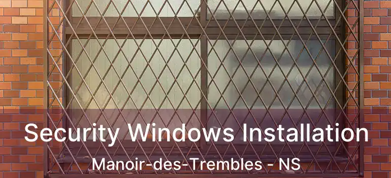  Security Windows Installation Manoir-des-Trembles - NS