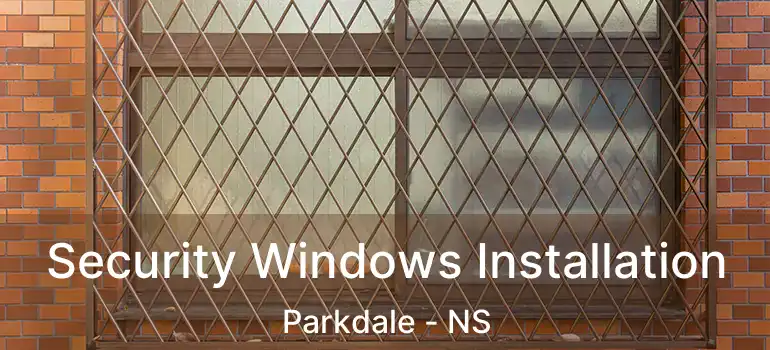  Security Windows Installation Parkdale - NS