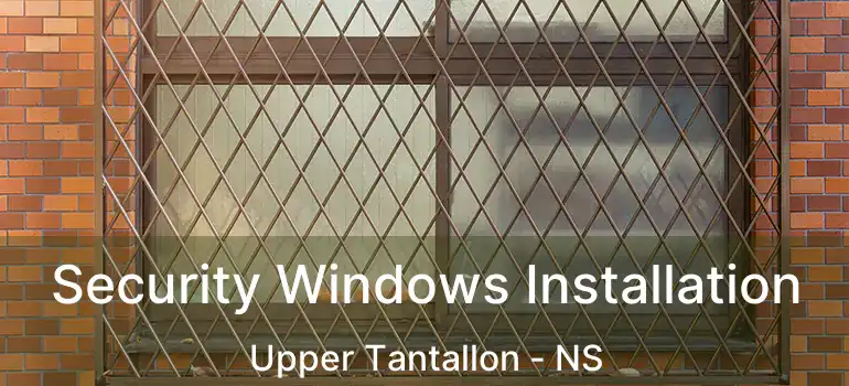  Security Windows Installation Upper Tantallon - NS