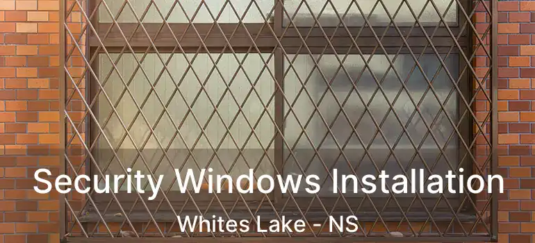  Security Windows Installation Whites Lake - NS